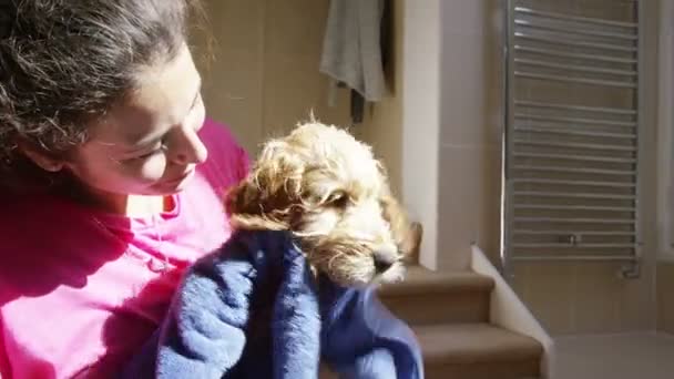 Mujer en casa secado mascota después de un baño — Vídeos de Stock