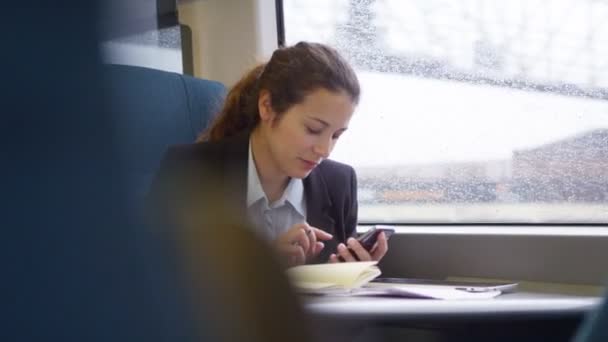 Affärskvinna på mobiltelefon på ett tåg — Stockvideo