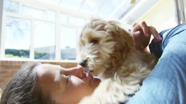 女性コッカーうんち子犬でリラックス — ストック動画