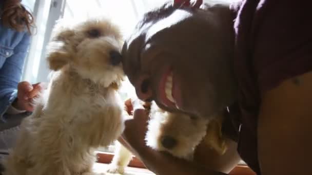 Пара отдыха с щенками — стоковое видео