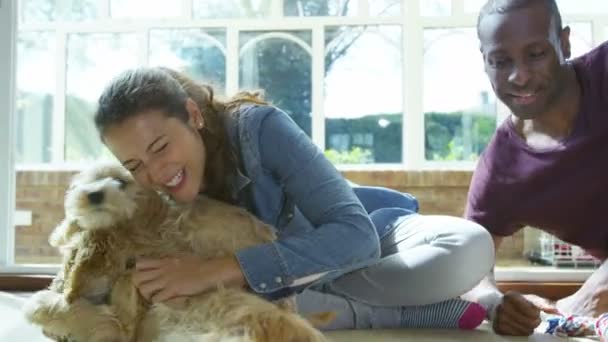 Paar ontspannen met puppies — Stockvideo