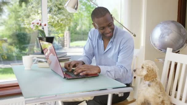 Человек, работающий на ноутбуке с щенком — стоковое видео