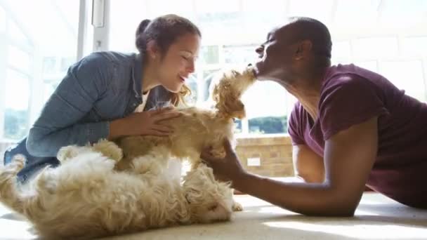 Pareja relajándose con cachorros — Vídeos de Stock