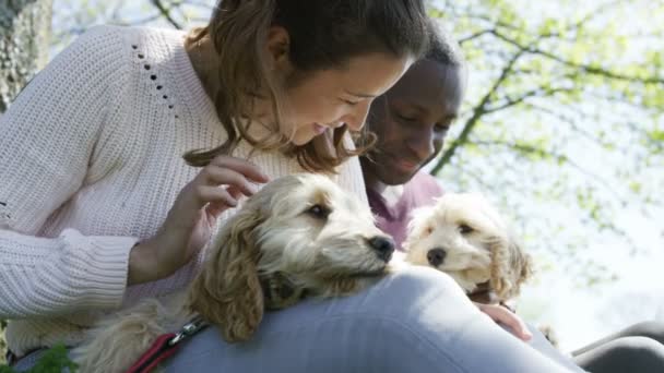 Coppia relax nel parco con cuccioli — Video Stock