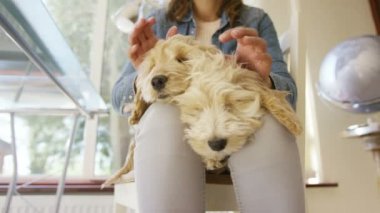 Kadın cocker-poo kukla ile rahatlatıcı