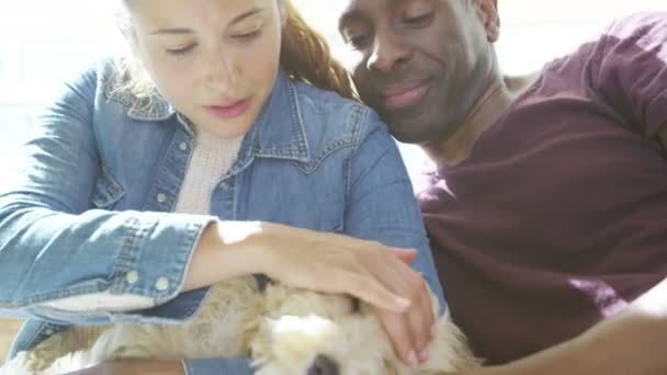 Couple relaxing with cocker-poo puppy — Stock Video