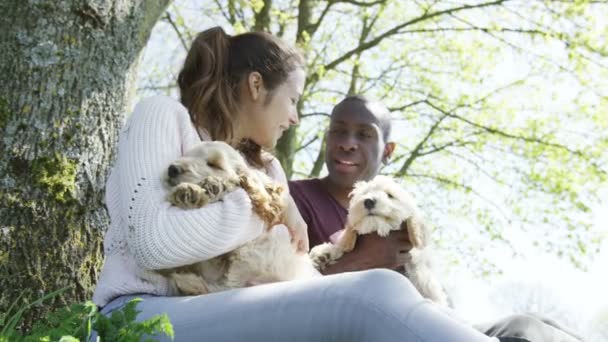 Paar entspannt mit Welpen im Park — Stockvideo