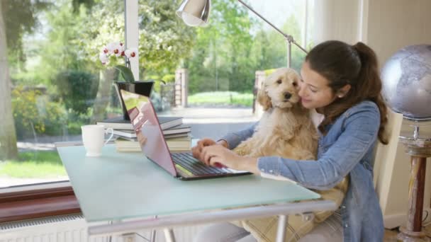 Kvinna som arbetar på laptop med valp — Stockvideo