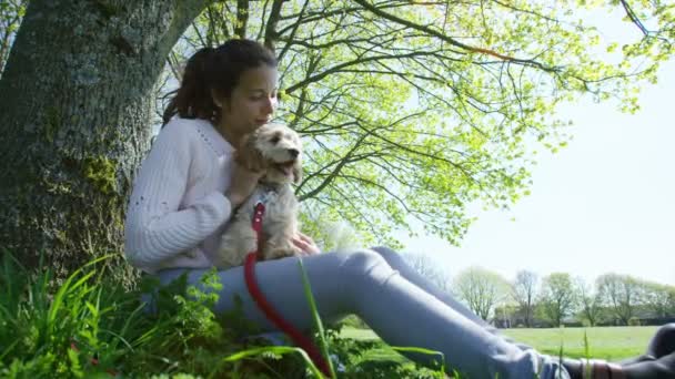 Mulher relaxante no parque com cachorro — Vídeo de Stock