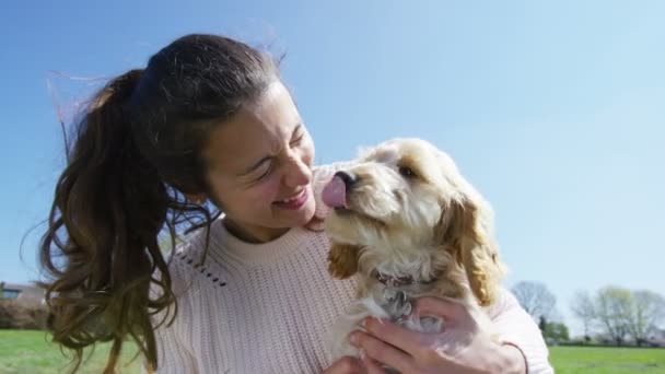 Mujer relajándose en el parque con cachorro — Vídeos de Stock