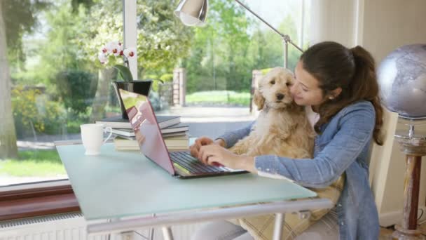 Kvinna som arbetar på laptop med valp — Stockvideo