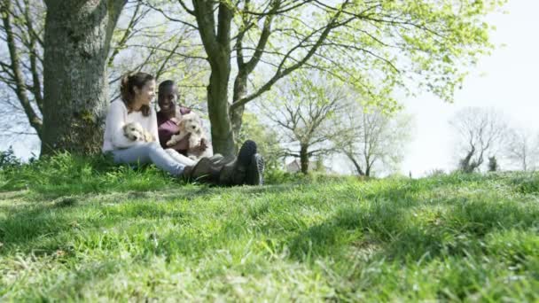 Couple relaxant dans le parc avec des chiots — Video