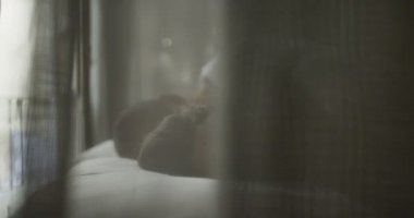 Yatak odasında ilişki sorunları