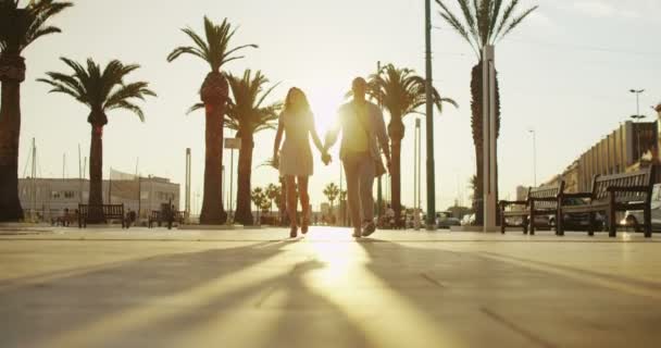 Lyckliga paret på semester — Stockvideo