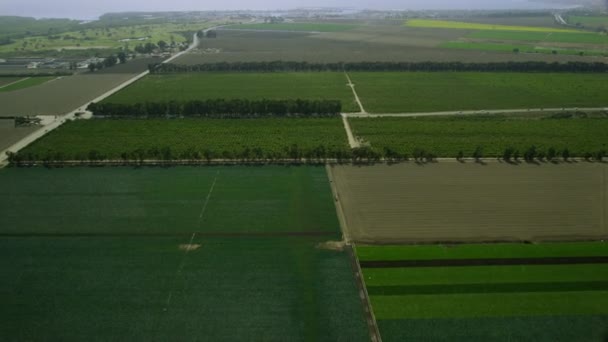 Campos con diversos tipos de agricultura — Vídeos de Stock