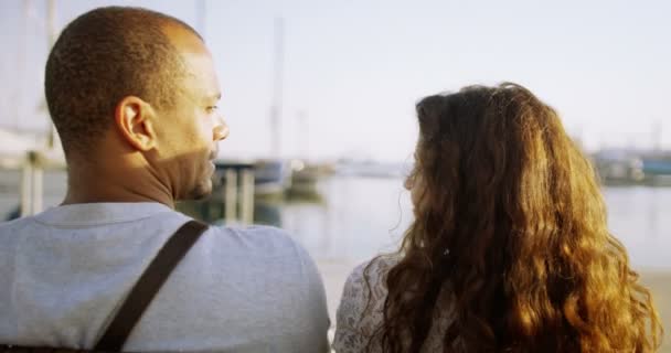 Couple regardant les bateaux dans le port — Video