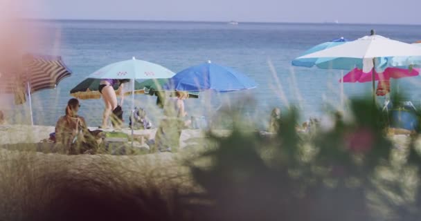 Pessoas aproveitando o tempo na praia — Vídeo de Stock