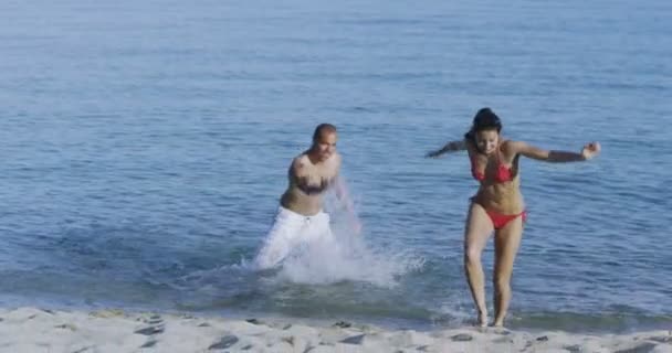 Couple splashing at the beach — Stock Video