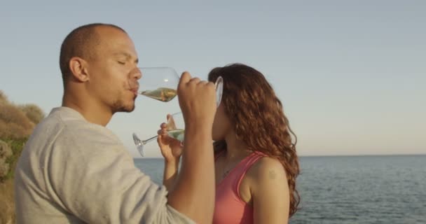 Paar trinkt Wein — Stockvideo