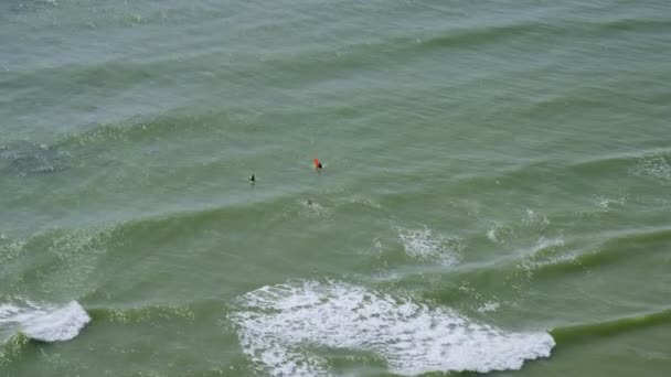 Surfeurs californiens et paddle boarders 