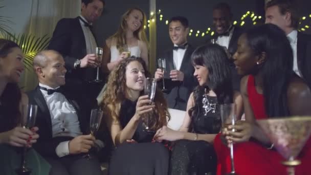 Vrienden drinken champagne — Stockvideo