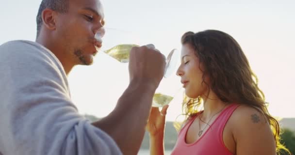 Couple buvant du vin — Video
