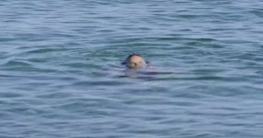  Denizden çıkan kadın