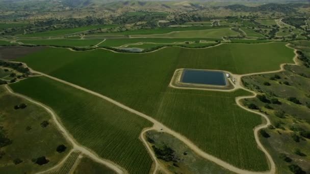 Zomer Californië platteland — Stockvideo