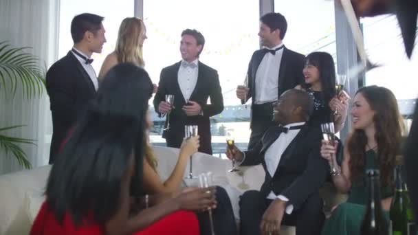 Friends drinking champagne — Stock Video