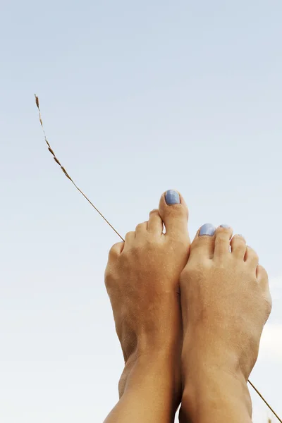 Picture of pretty woman's leg over the blue sky in the field of — Stock Photo, Image