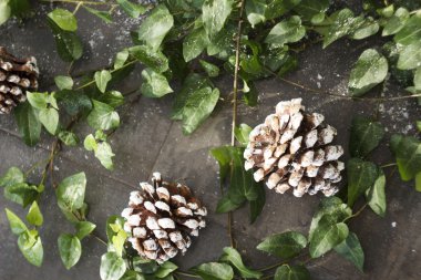 Resmi güzel Noel iç dekor