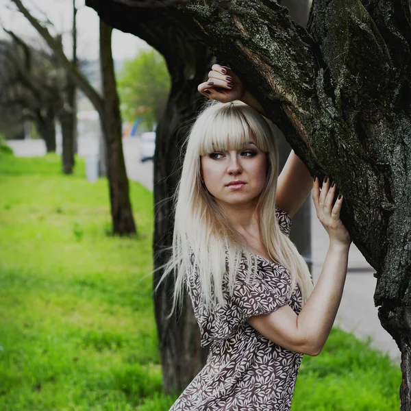 Retrato de mujer hermosa joven —  Fotos de Stock