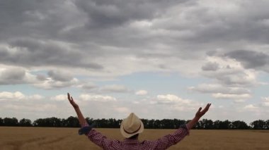 Hasır şapkalı şahıs altın bir alanda duruyor, kolları göğe yükseliyor, doğayla bir özgürlük anı yakalıyor ve doğayla bağlantı kuruyor, kamera yavaşça hareket ediyor.
