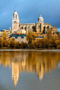 Salamanca Cathedral. Castile and Leon, Spain clipart
