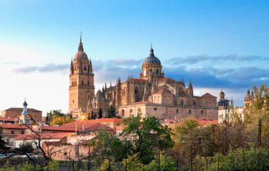 Salamanca Cathedral. Kastilya ve Leon, İspanya