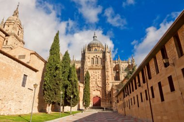 Salamanca Cathedral. Kastilya ve Leon, İspanya