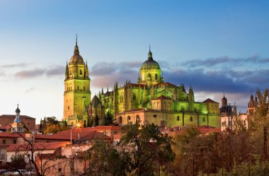 Salamanca Cathedral. Kastilya ve Leon, İspanya