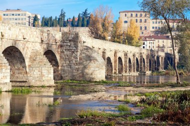 nehir Tormes üzerinde köprü. Salamanca, İspanya