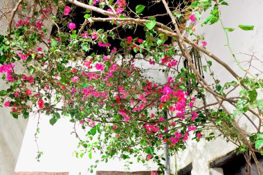 Castillo de İspanya, İspanya