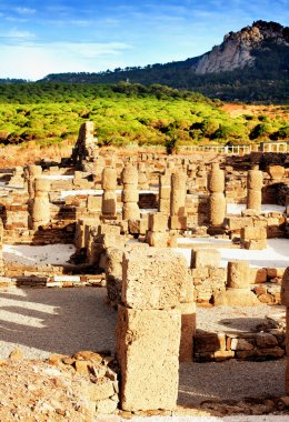 bir roman ruins 