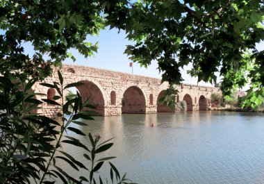 eski antika köprü nehir guadiana, merida, İspanya