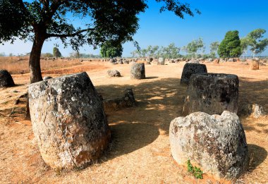 Vadi sürahi. Phonsavan, Xiangkhouang province, Laos