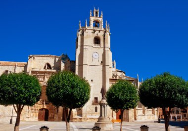 Katedral Palencia, Palencia, Castilla ve Leon, İspanya