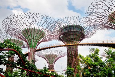 Supertree Grove Gardens Marina Bay yakınındaki bir bakış. Singapur