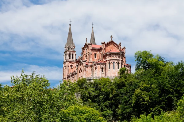 Basilica of santa maria, covadonga, asturias, İspanya — Stok fotoğraf