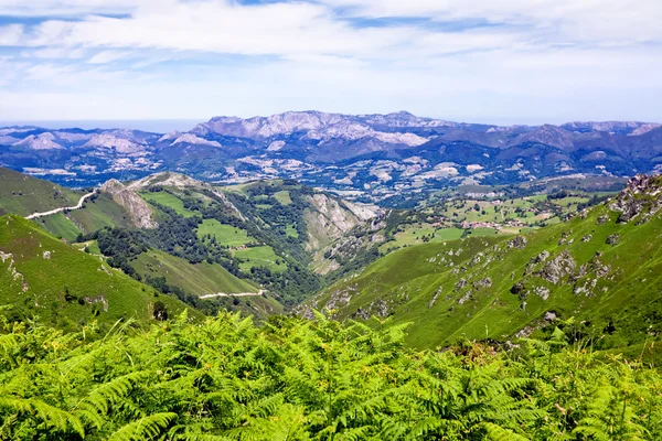 Vê a Reina. Cantábrico, Covadonga, Astúrias, Espanha — Fotografia de Stock