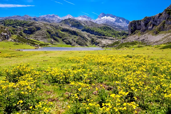 Lago Ercina. Cantábrico. Covadonga. Astúrias. Espanha . — Fotografia de Stock