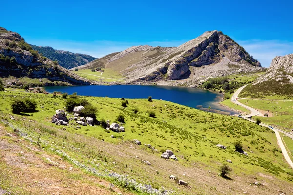 Lago Enol. Cantábrico. Covadonga. Astúrias. Espanha . — Fotografia de Stock