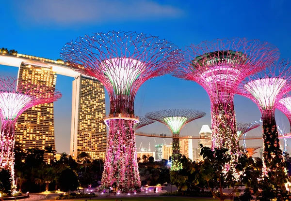 The Supertree Grove at Gardens near Marina Bay, Singapore