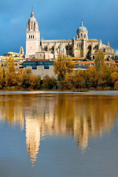 Salamanca Cathedral. Castile and Leon, Spain — Stock Photo, Image